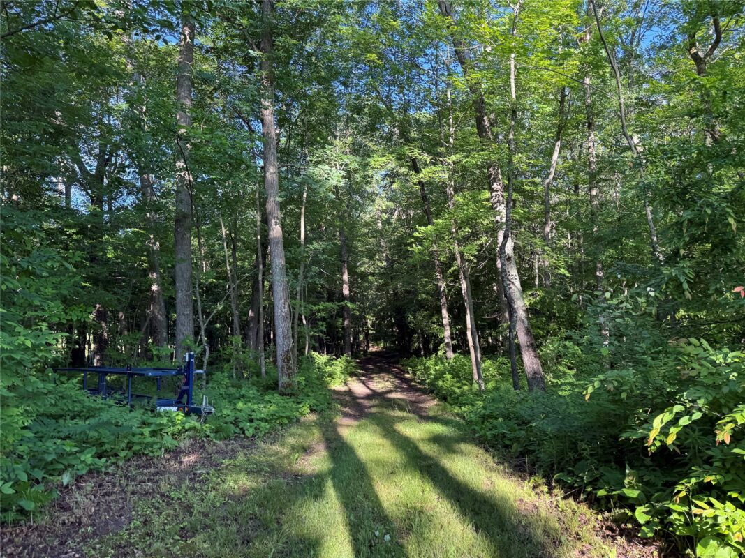 XXX Sathre Lane, Shell Lake WI 54871 - Land house for sale - MLS #1602131 - image21