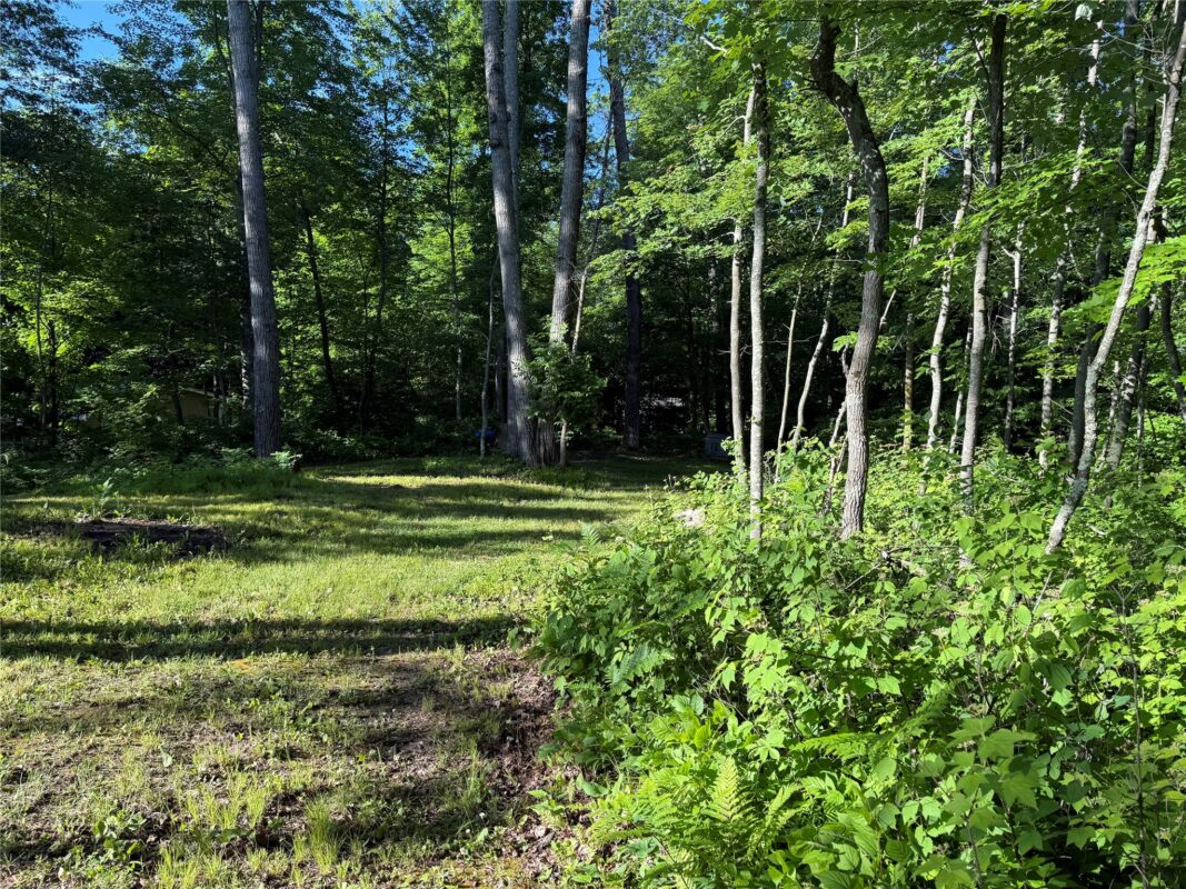 XXX Sathre Lane, Shell Lake WI 54871 - Land house for sale - MLS #1602131 - image22