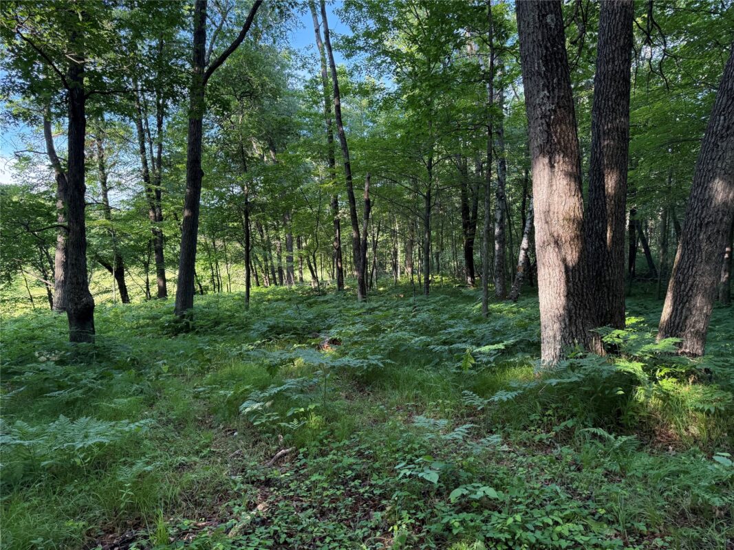 XXX Sathre Lane, Shell Lake WI 54871 - Land house for sale - MLS #1602131 - image23