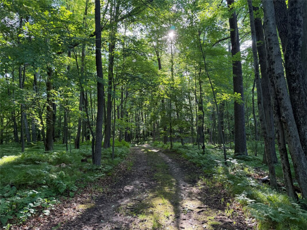 XXX Sathre Lane, Shell Lake WI 54871 - Land house for sale - MLS #1602131 - image24
