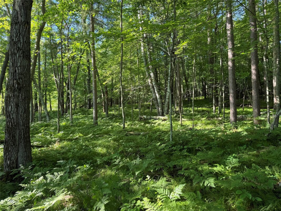 XXX Sathre Lane, Shell Lake WI 54871 - Land house for sale - MLS #1602131 - image25
