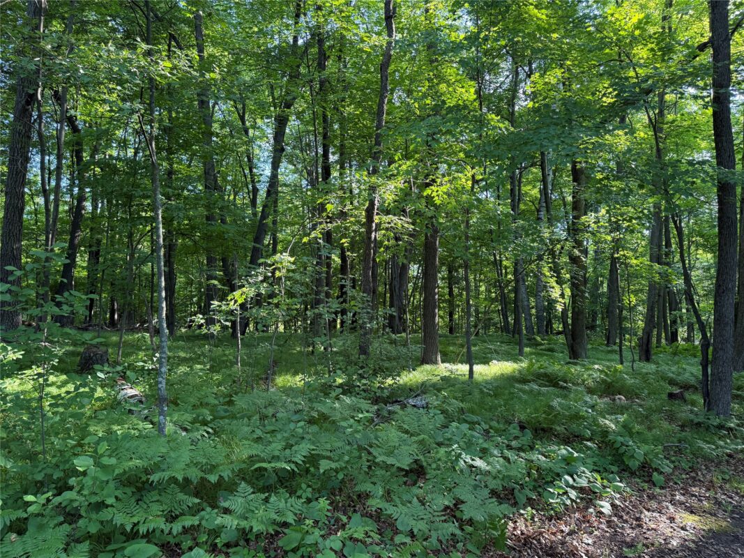XXX Sathre Lane, Shell Lake WI 54871 - Land house for sale - MLS #1602131 - image26