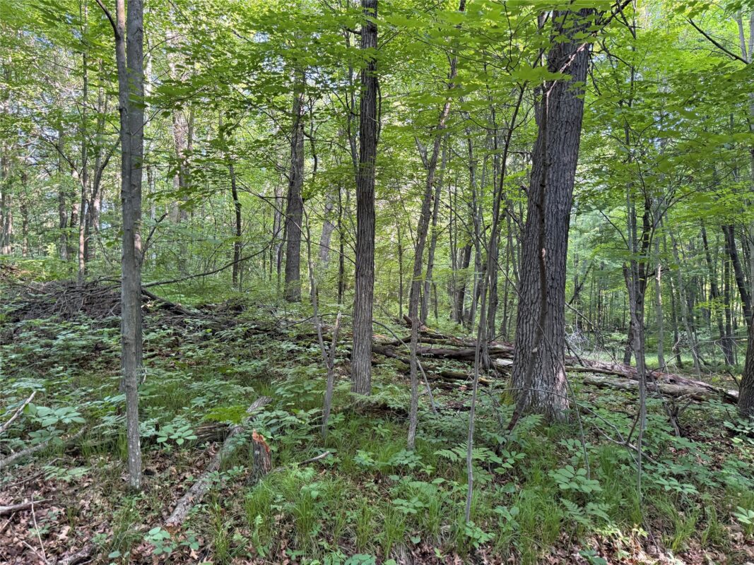 XXX Sathre Lane, Shell Lake WI 54871 - Land house for sale - MLS #1602131 - image27