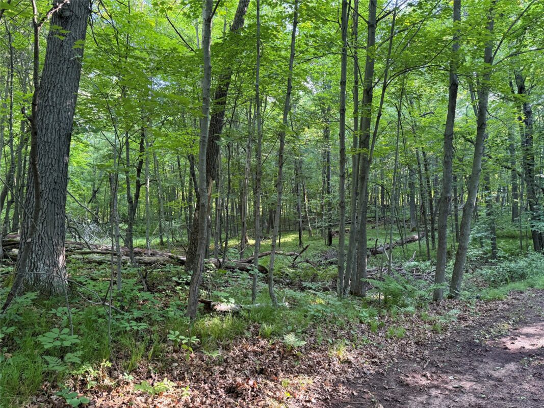 XXX Sathre Lane, Shell Lake WI 54871 - Land house for sale - MLS #1602131 - image28