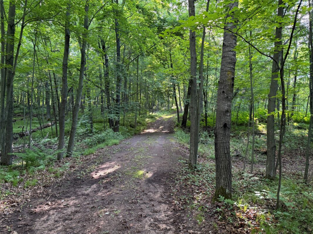 XXX Sathre Lane, Shell Lake WI 54871 - Land house for sale - MLS #1602131 - image29