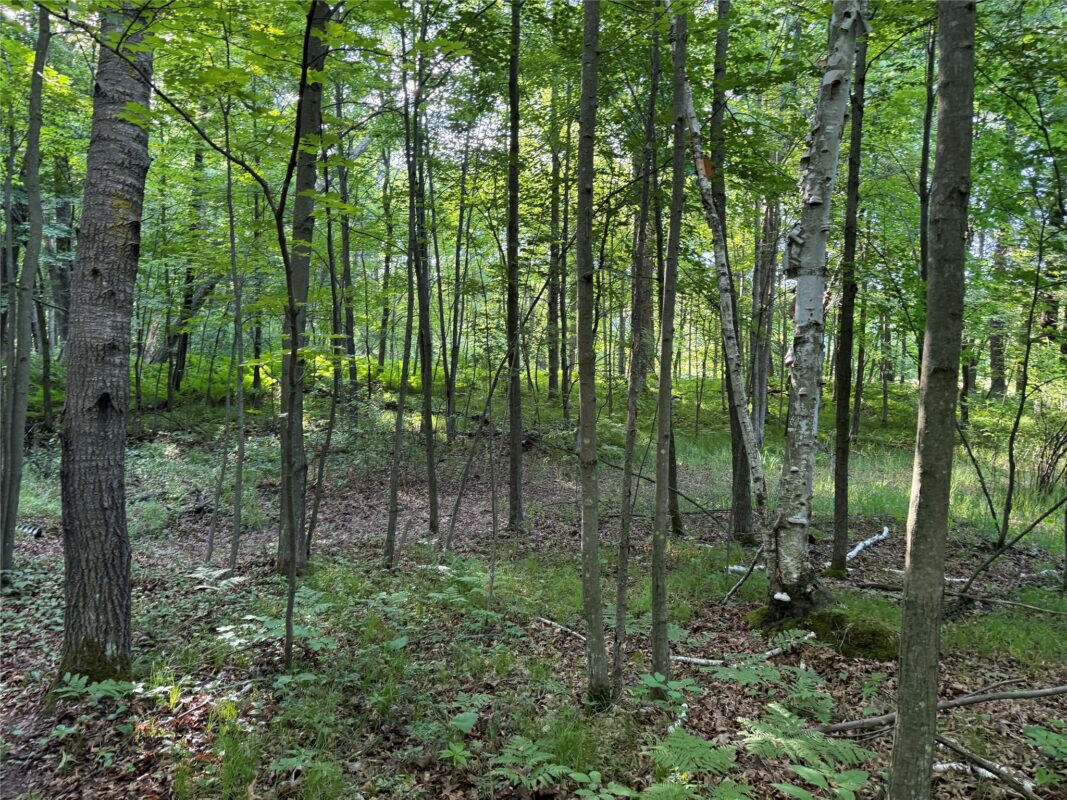 XXX Sathre Lane, Shell Lake WI 54871 - Land house for sale - MLS #1602131 - image30