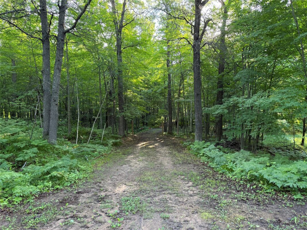 XXX Sathre Lane, Shell Lake WI 54871 - Land house for sale - MLS #1602131 - image31