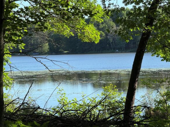 XXX Sathre Lane, Shell Lake WI 54871 - Land house for sale - MLS #1602131 - image1