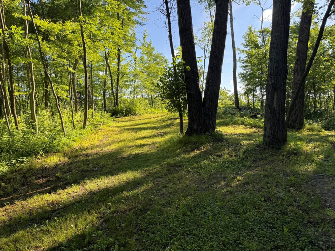 XXX Sathre Lane, Shell Lake WI 54871 - Land house for sale - MLS #1602131 - image5