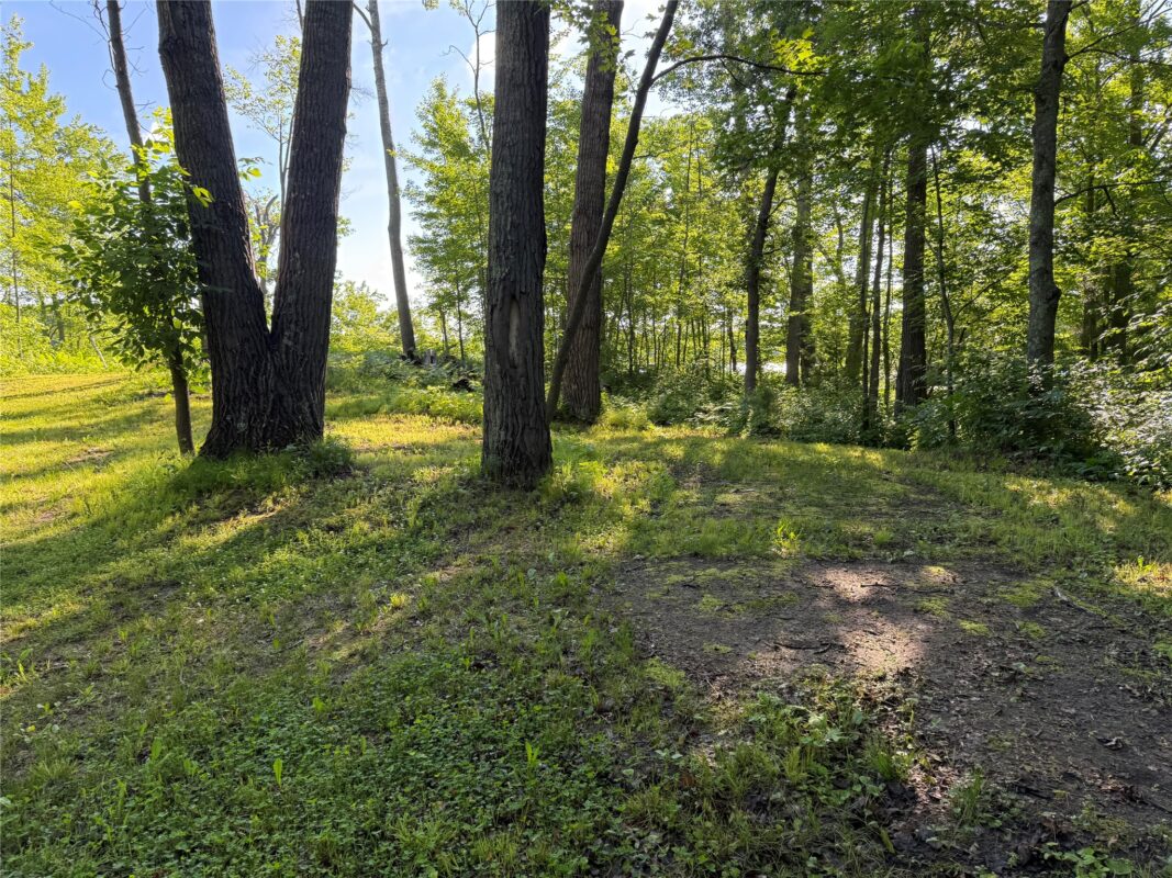 XXX Sathre Lane, Shell Lake WI 54871 - Land house for sale - MLS #1602131 - image6