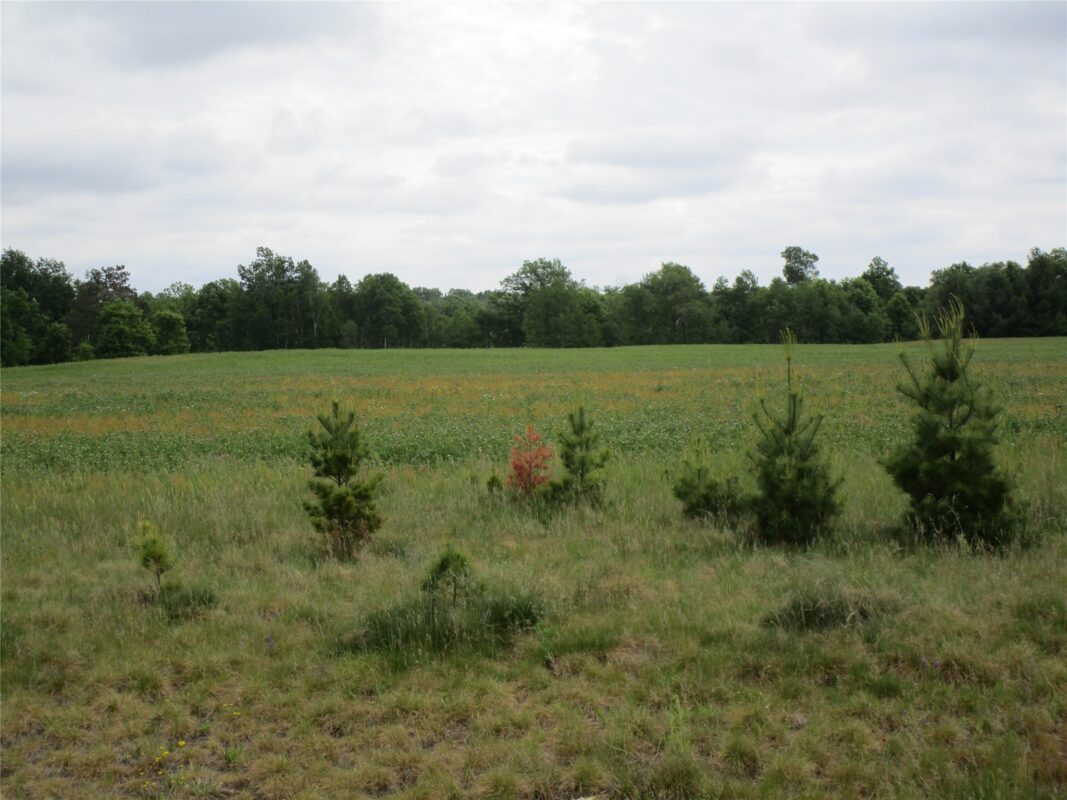 xxx River Pines Drive, Ladysmith WI 54848 - Land house for sale - MLS #1601947 - image2