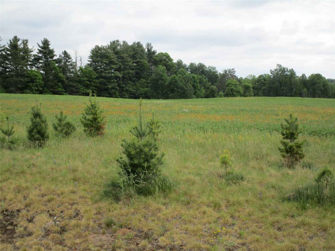 xxx River Pines Drive, Ladysmith WI 54848 - Land house for sale - MLS #1601947 - image3