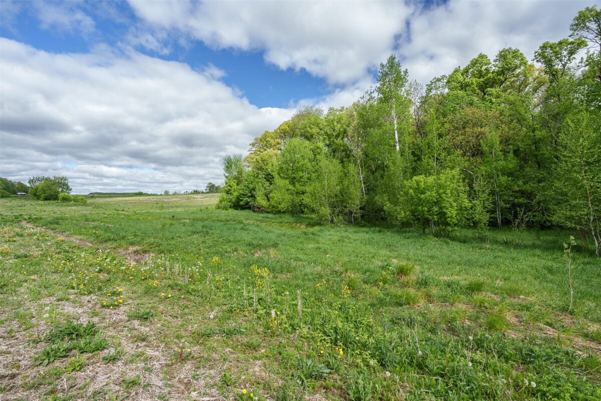 0 21.37A +/- McGower Road, Fairchild WI 54741 - Land house for sale - MLS #1601422 - image12