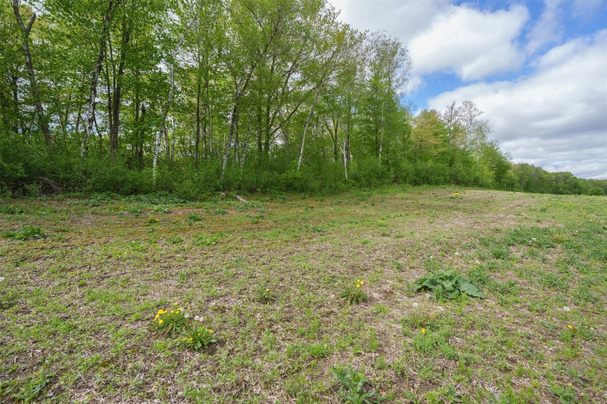 0 21.37A +/- McGower Road, Fairchild WI 54741 - Land house for sale - MLS #1601422 - image13