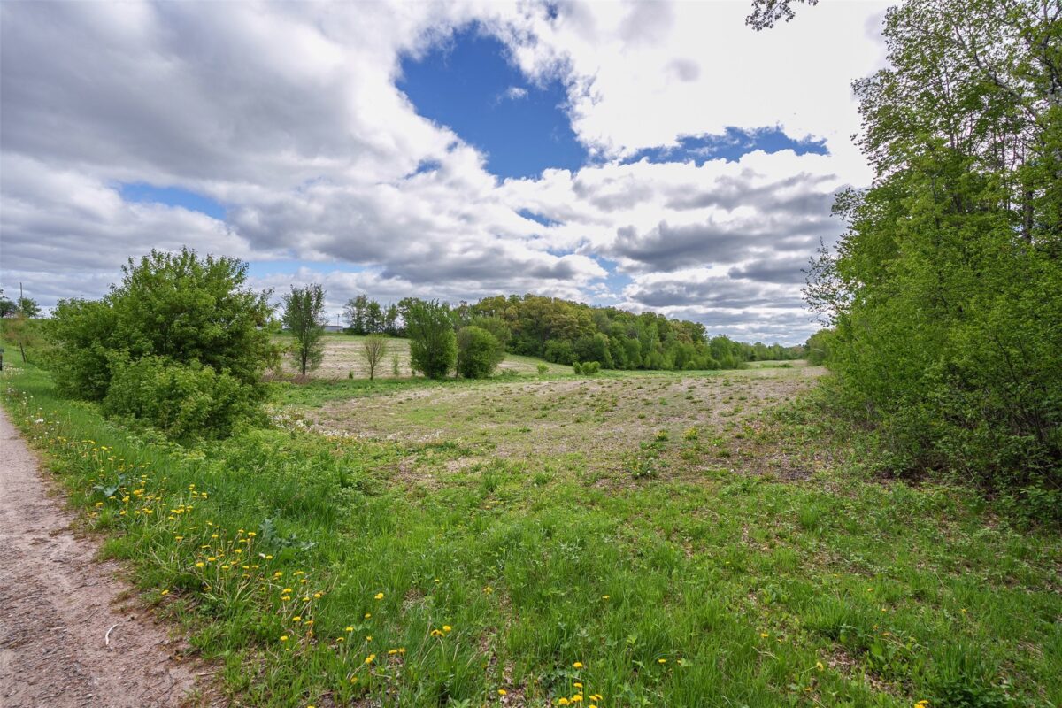 0 21.37A +/- McGower Road, Fairchild WI 54741 - Land house for sale - MLS #1601422 - image9