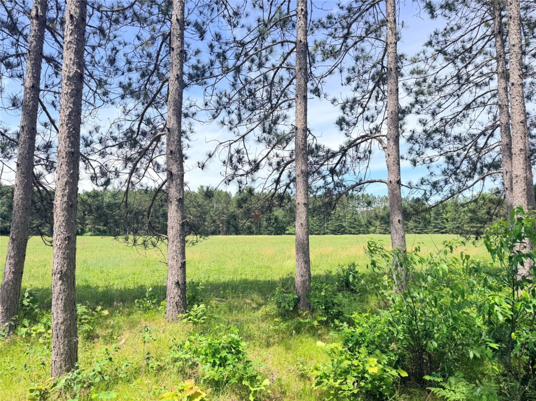 0 Boat Landing Road, Ladysmith WI 54848 - Land house for sale - MLS #1602345 - image11