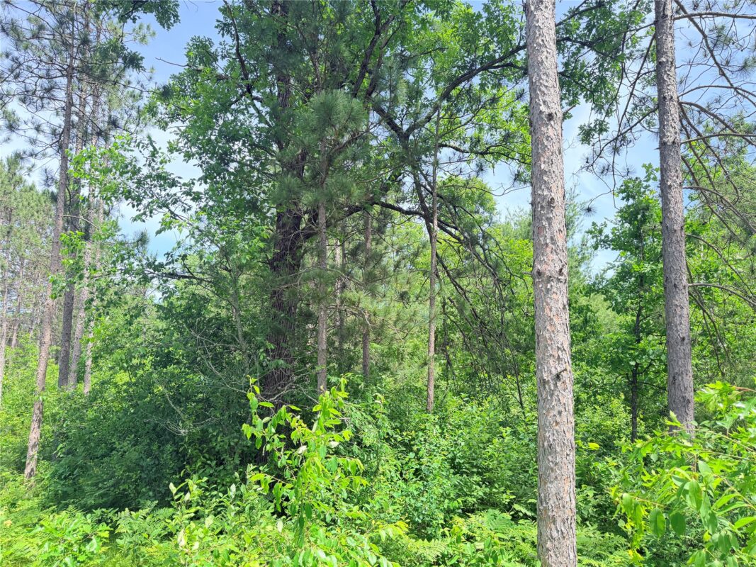 0 Boat Landing Road, Ladysmith WI 54848 - Land house for sale - MLS #1602345 - image12