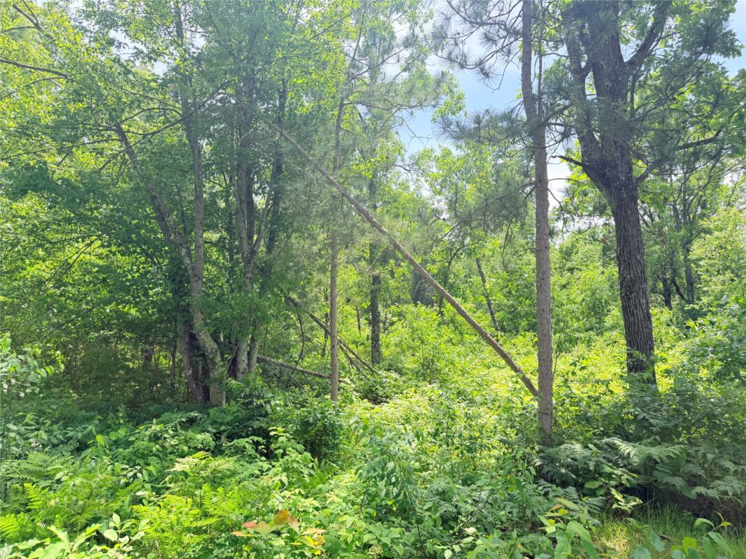 0 Boat Landing Road, Ladysmith WI 54848 - Land house for sale - MLS #1602345 - image13