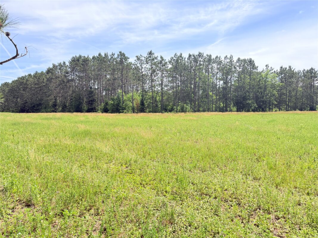 0 Boat Landing Road, Ladysmith WI 54848 - Land house for sale - MLS #1602345 - image14