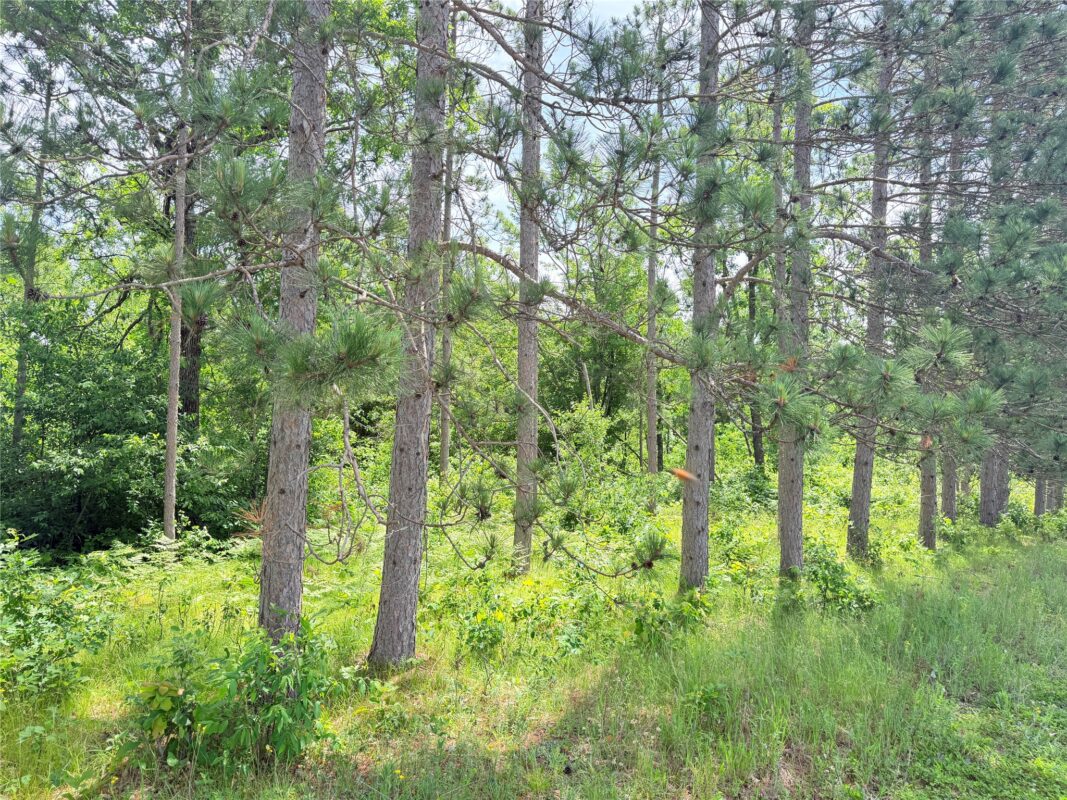 0 Boat Landing Road, Ladysmith WI 54848 - Land house for sale - MLS #1602345 - image15