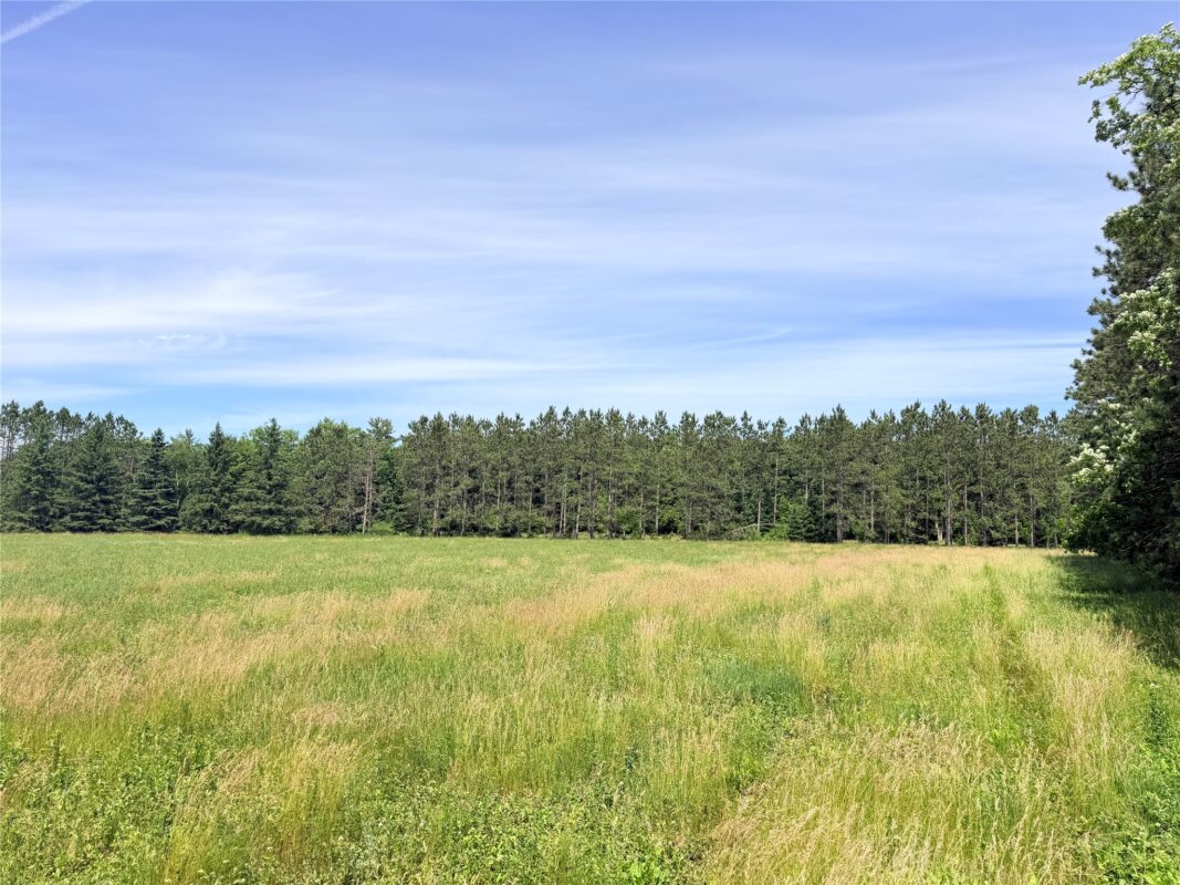 0 Boat Landing Road, Ladysmith WI 54848 - Land house for sale - MLS #1602345 - image16