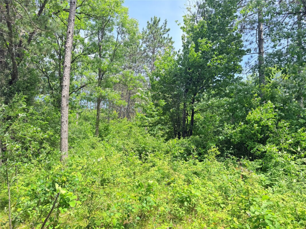 0 Boat Landing Road, Ladysmith WI 54848 - Land house for sale - MLS #1602345 - image17