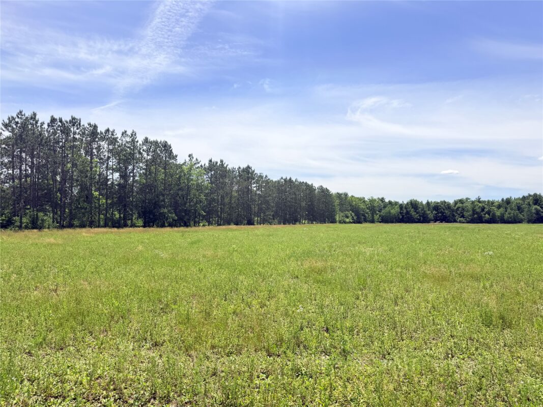 0 Boat Landing Road, Ladysmith WI 54848 - Land house for sale - MLS #1602345 - image18