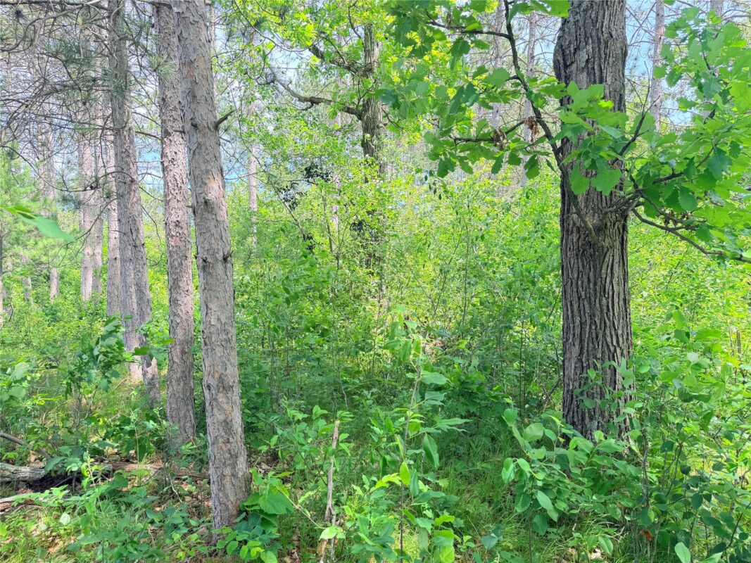 0 Boat Landing Road, Ladysmith WI 54848 - Land house for sale - MLS #1602345 - image19