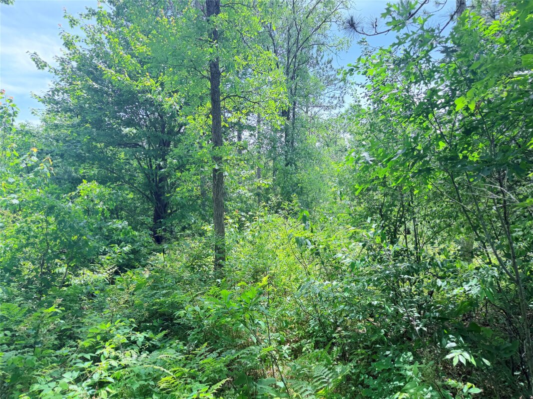 0 Boat Landing Road, Ladysmith WI 54848 - Land house for sale - MLS #1602345 - image20