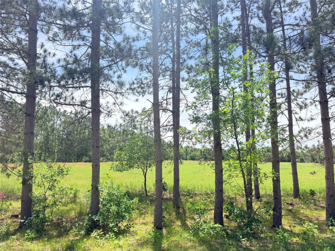 0 Boat Landing Road, Ladysmith WI 54848 - Land house for sale - MLS #1602345 - image8