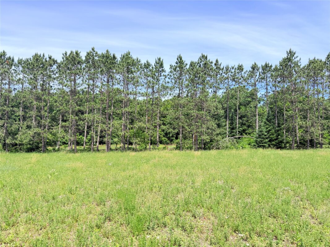0 Boat Landing Road, Ladysmith WI 54848 - Land house for sale - MLS #1602345 - image9
