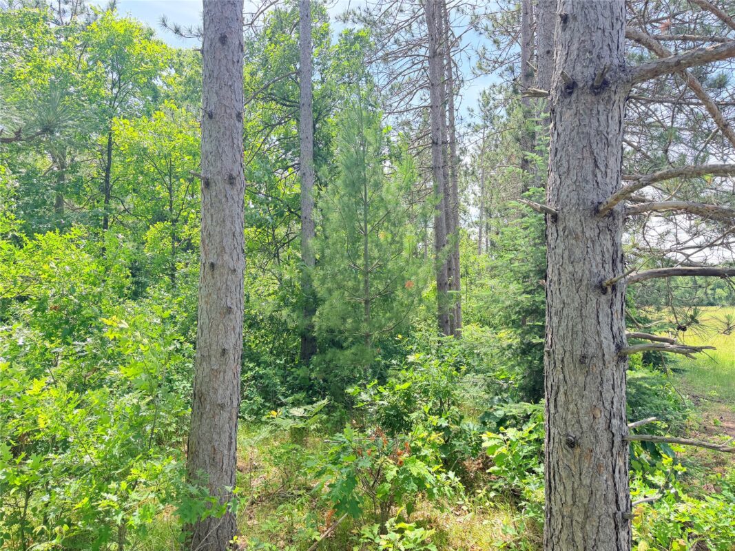 0 Boat Landing Road, Ladysmith WI 54848 - Land house for sale - MLS #1602345 - image10