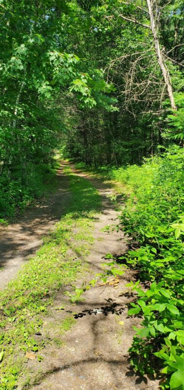 0 County Highway D, Holcombe WI 54745 - Land house for sale - MLS #1602913 - image7