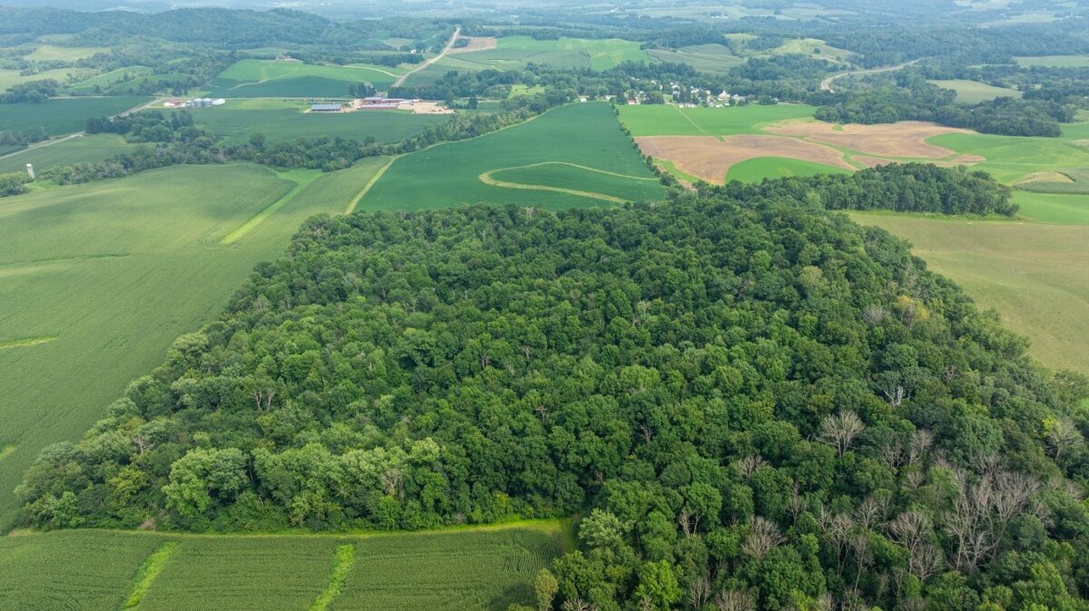 0 County Road J, Mondovi WI 54755 - Land house for sale - MLS #1603244 - image26