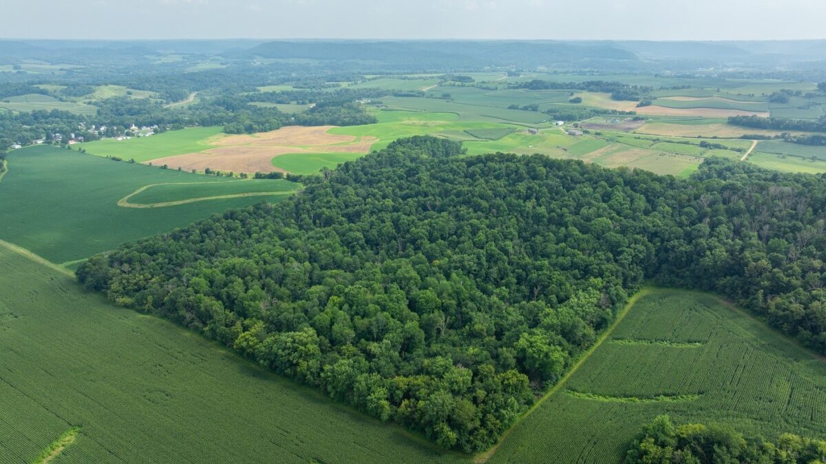 0 County Road J, Mondovi WI 54755 - Land house for sale - MLS #1603244 - image29