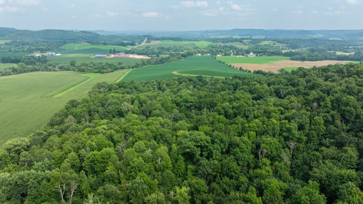 0 County Road J, Mondovi WI 54755 - Land house for sale - MLS #1603244 - image31