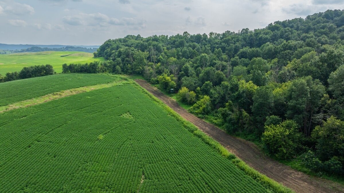 0 County Road J, Mondovi WI 54755 - Land house for sale - MLS #1603244 - image35
