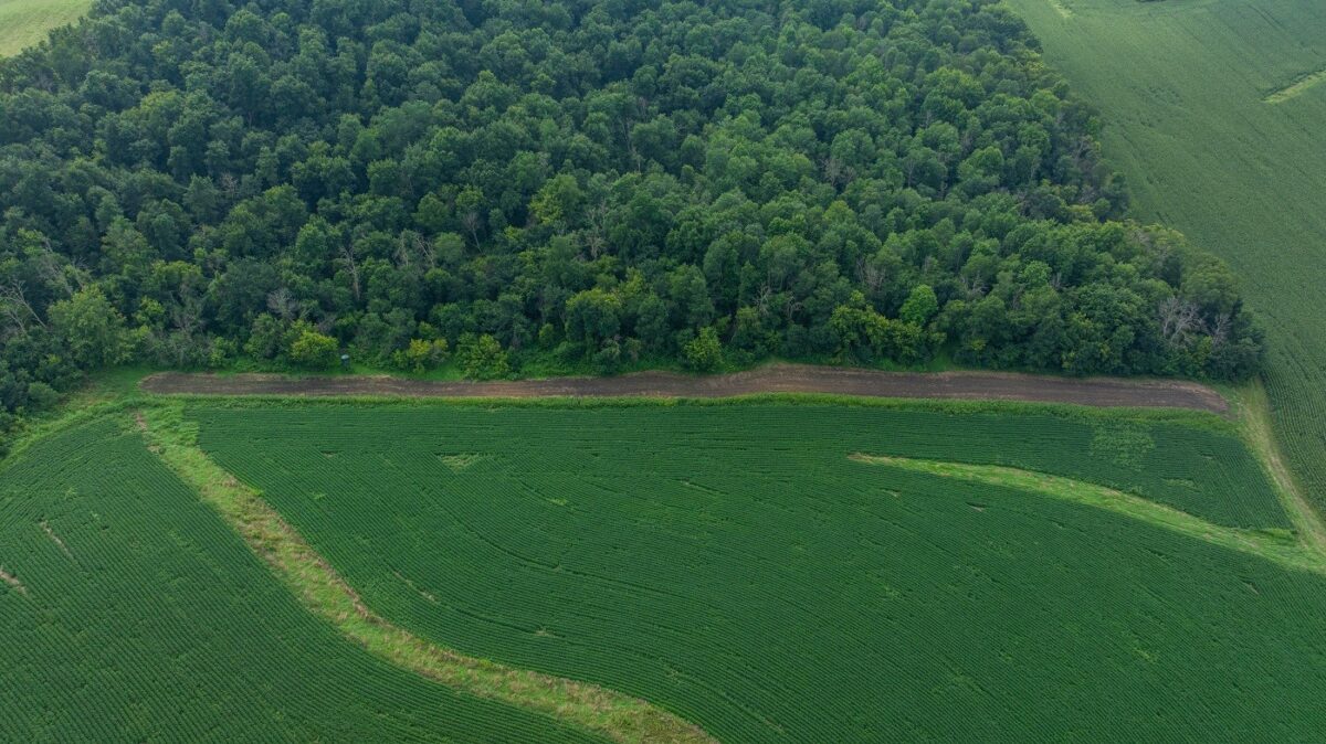 0 County Road J, Mondovi WI 54755 - Land house for sale - MLS #1603244 - image9