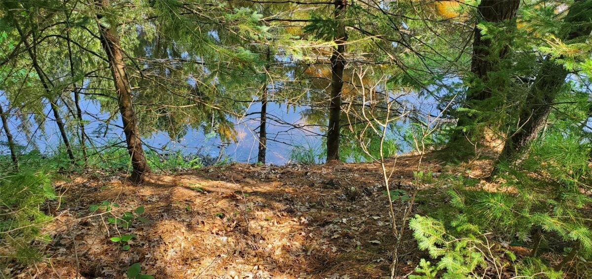 0 Highway D, Holcombe WI 54745 - Land house for sale - MLS #1602913 - image6