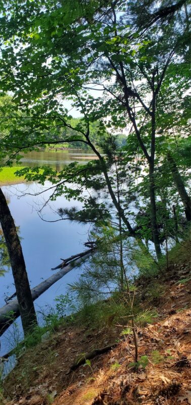 0 Hwy D, Holcombe WI 54745 - Land house for sale - MLS #1602913 - image2
