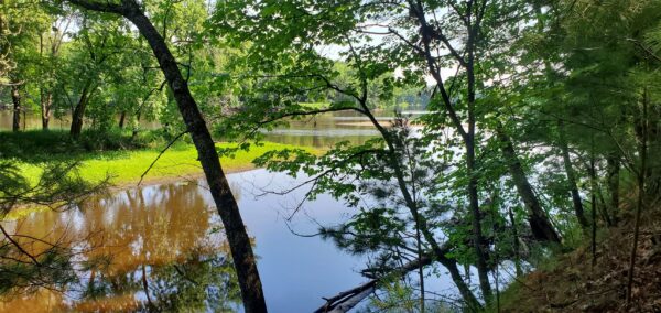 0 Hwy D  Holcombe WI 54745