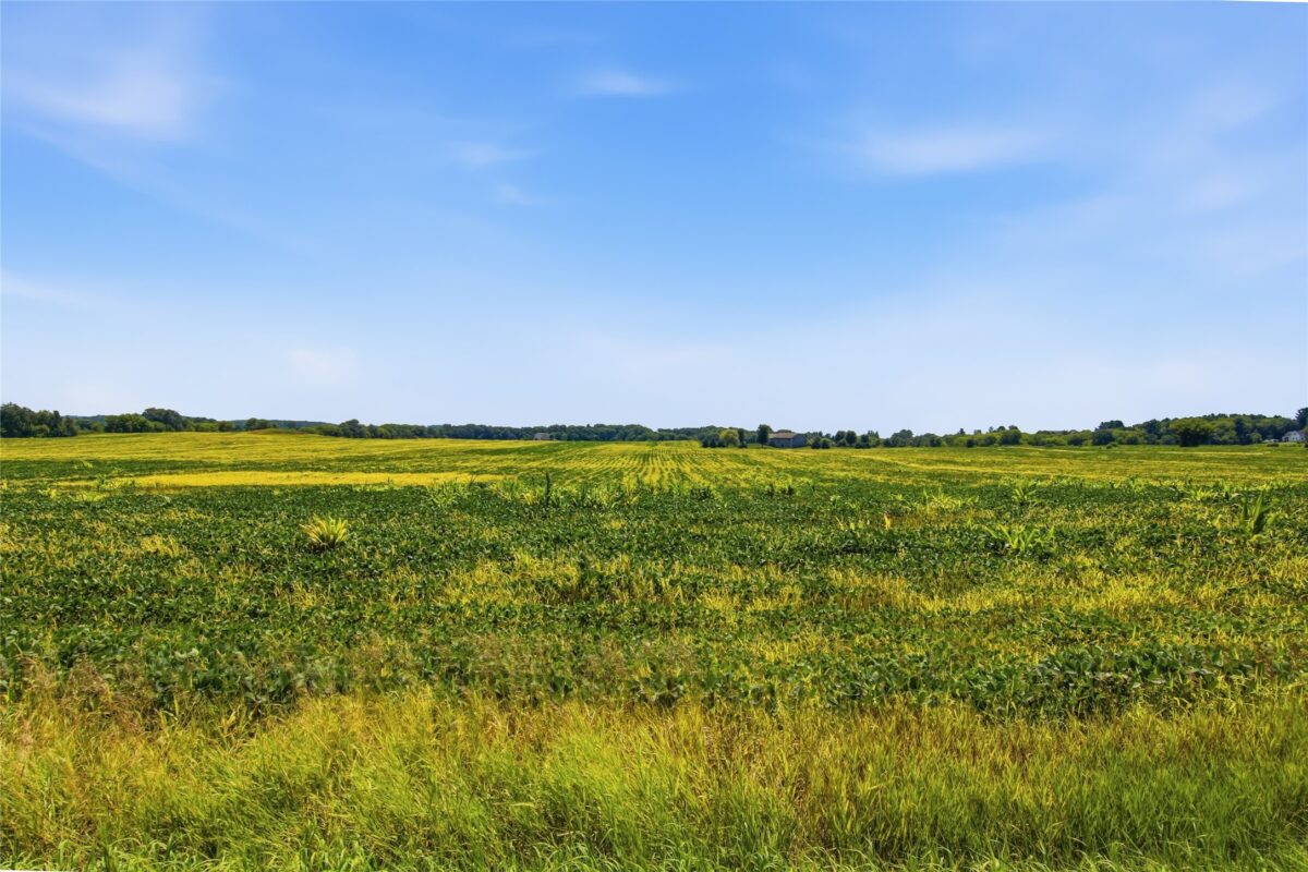 0 Miller Road, Eau Claire WI 54703 - Land house for sale - MLS #1603434 - image13