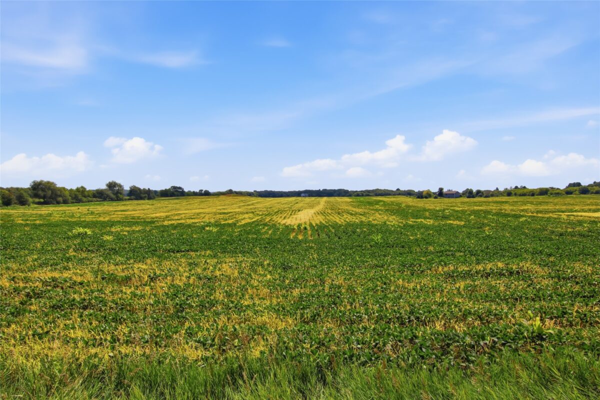 0 Miller Road, Eau Claire WI 54703 - Land house for sale - MLS #1603434 - image10