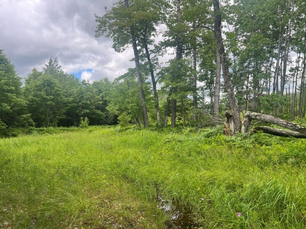 0 Old Highway 54, Pittsville WI 54466 - Land house for sale - MLS #1602495 - image2
