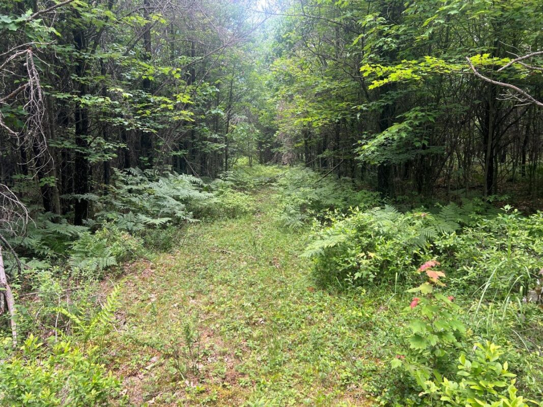 0 Old Highway 54, Pittsville WI 54466 - Land house for sale - MLS #1602495 - image13