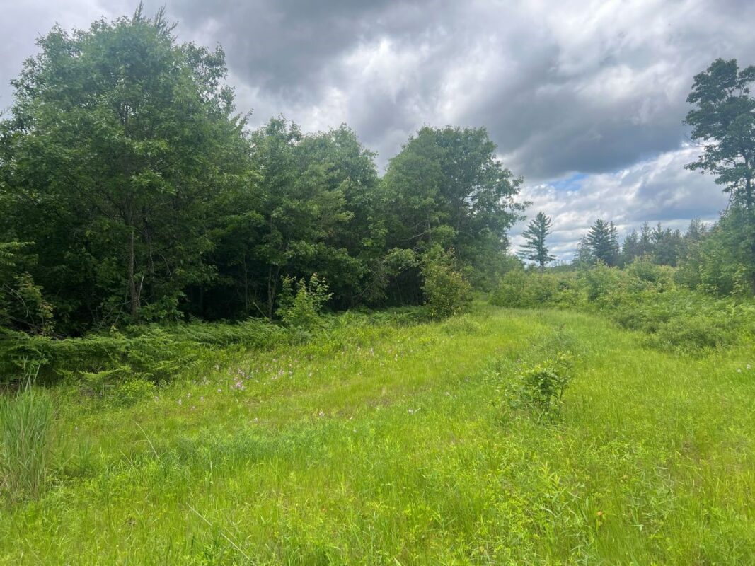 0 Old Highway 54, Pittsville WI 54466 - Land house for sale - MLS #1602495 - image3