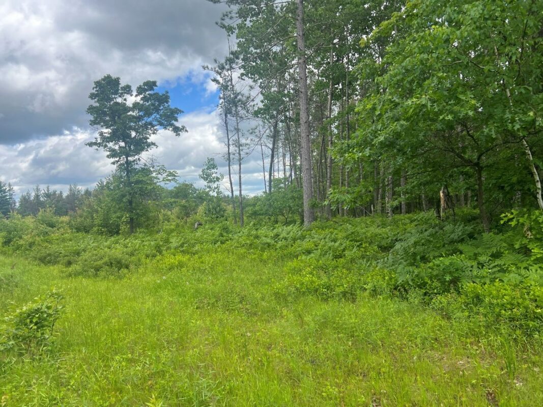 0 Old Highway 54, Pittsville WI 54466 - Land house for sale - MLS #1602495 - image4