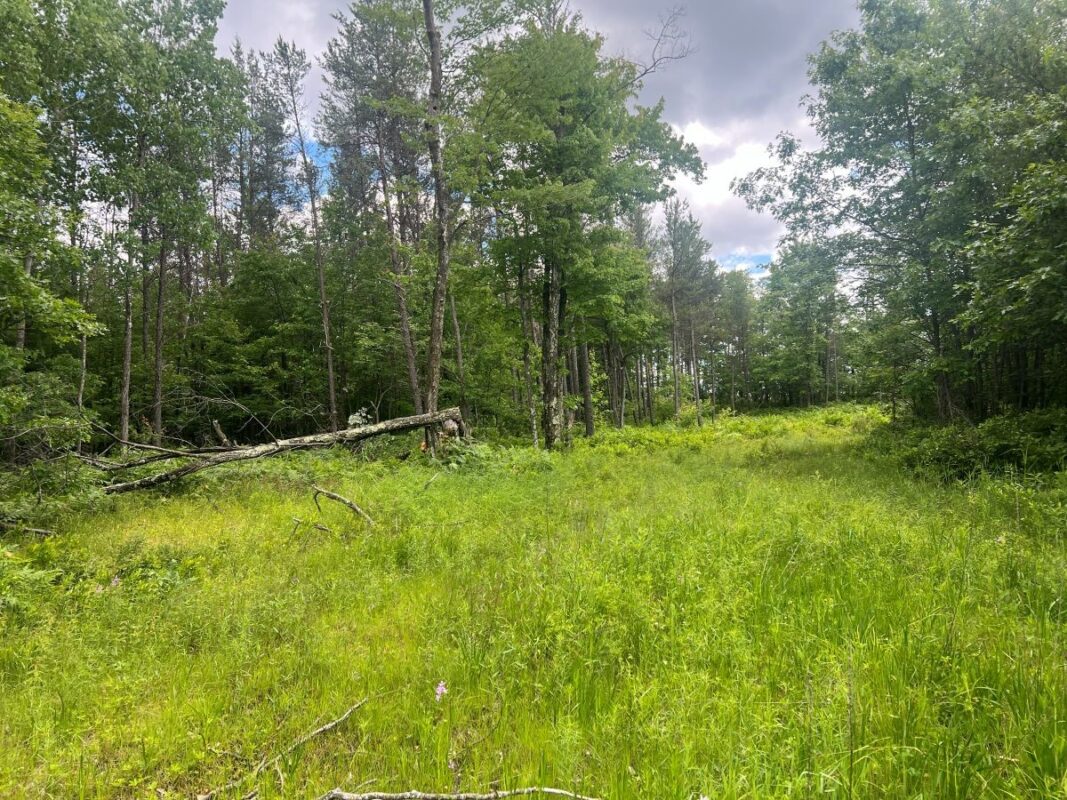 0 Old Highway 54, Pittsville WI 54466 - Land house for sale - MLS #1602495 - image5