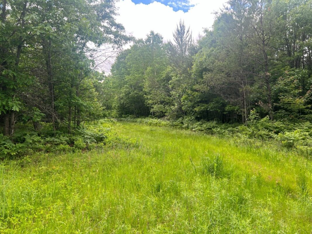 0 Old Highway 54, Pittsville WI 54466 - Land house for sale - MLS #1602495 - image6