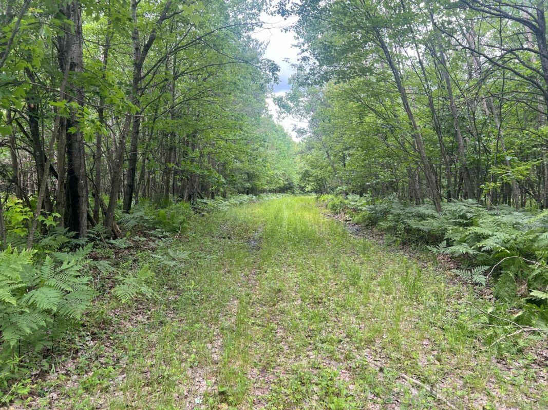 0 Old Highway 54, Pittsville WI 54466 - Land house for sale - MLS #1602495 - image7